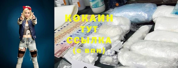 СК Алзамай