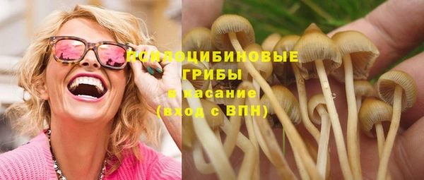 ГАЛЛЮЦИНОГЕННЫЕ ГРИБЫ Алексин